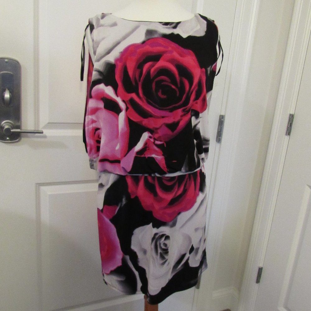 NWT Sandra Darren Black White and Pink Rose Print Dress